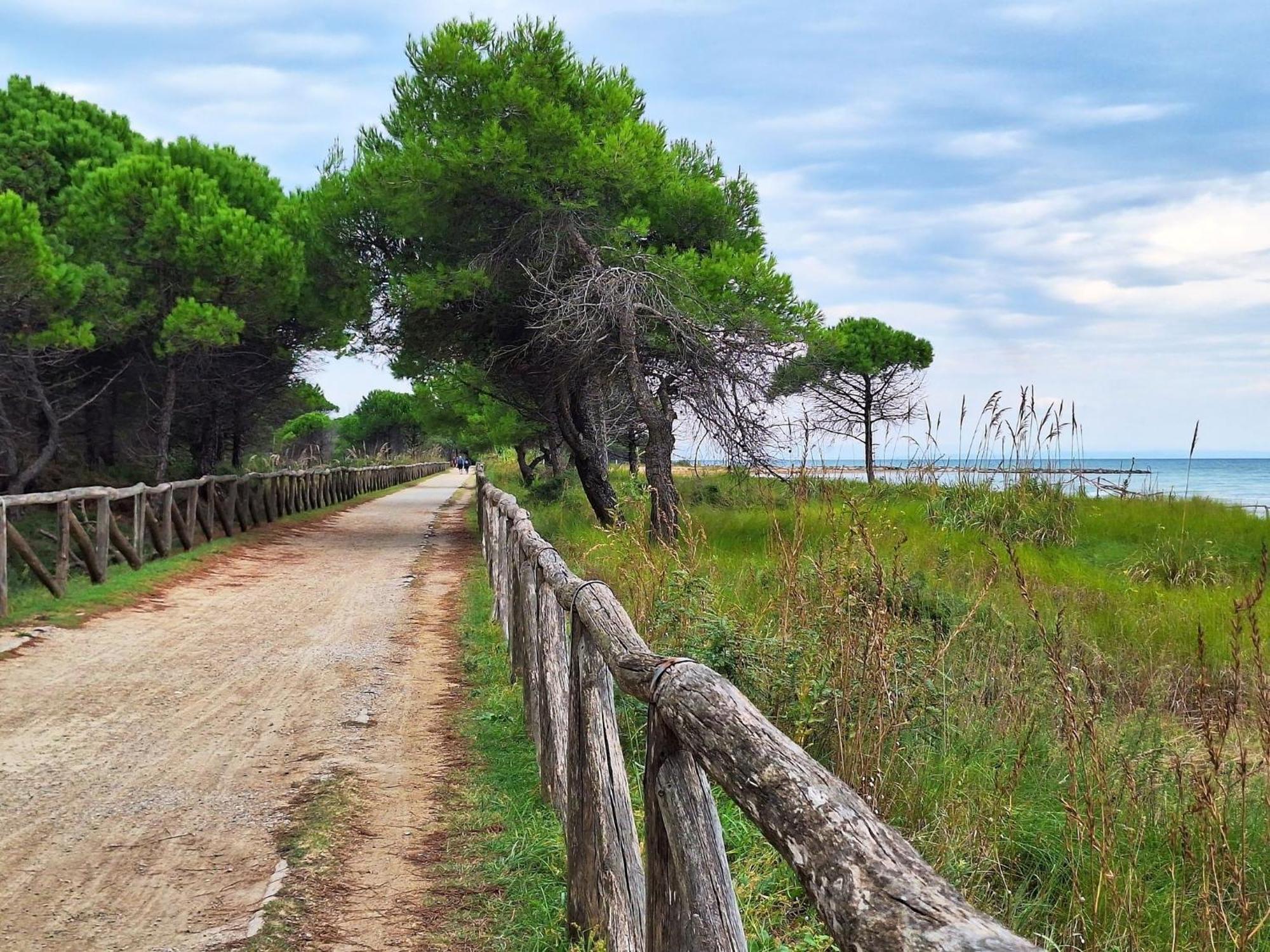 Adorable For 8 People Close To The Sea